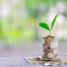 Tips for Choosing Sustainable Investments for the Future