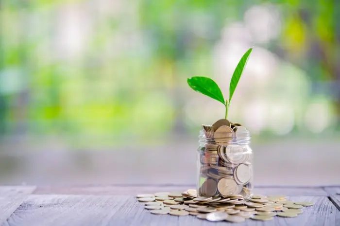 Tips for Choosing Sustainable Investments for the Future
